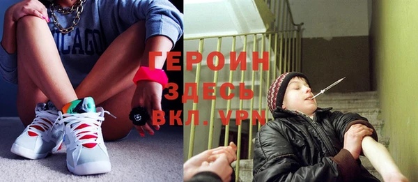 тгк Ельня