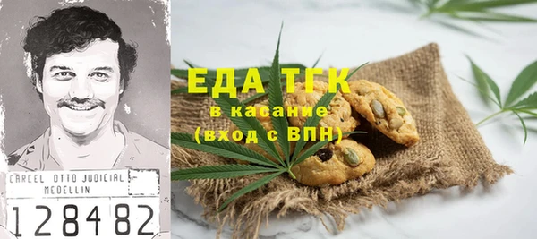 тгк Ельня