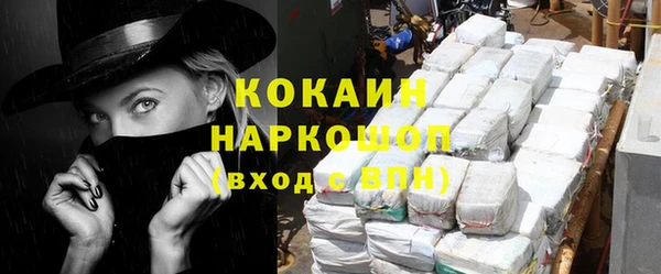 тгк Ельня