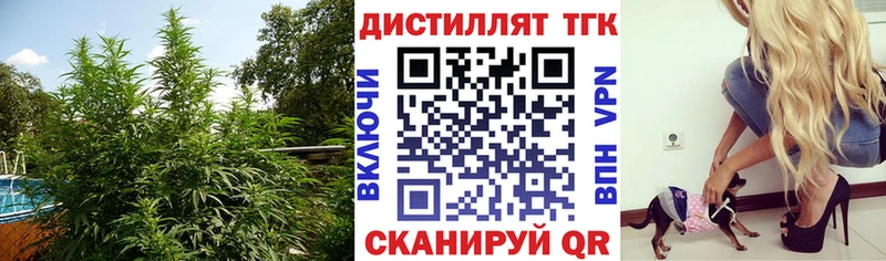 Дистиллят ТГК концентрат  продажа наркотиков  MEGA вход  Кумертау 